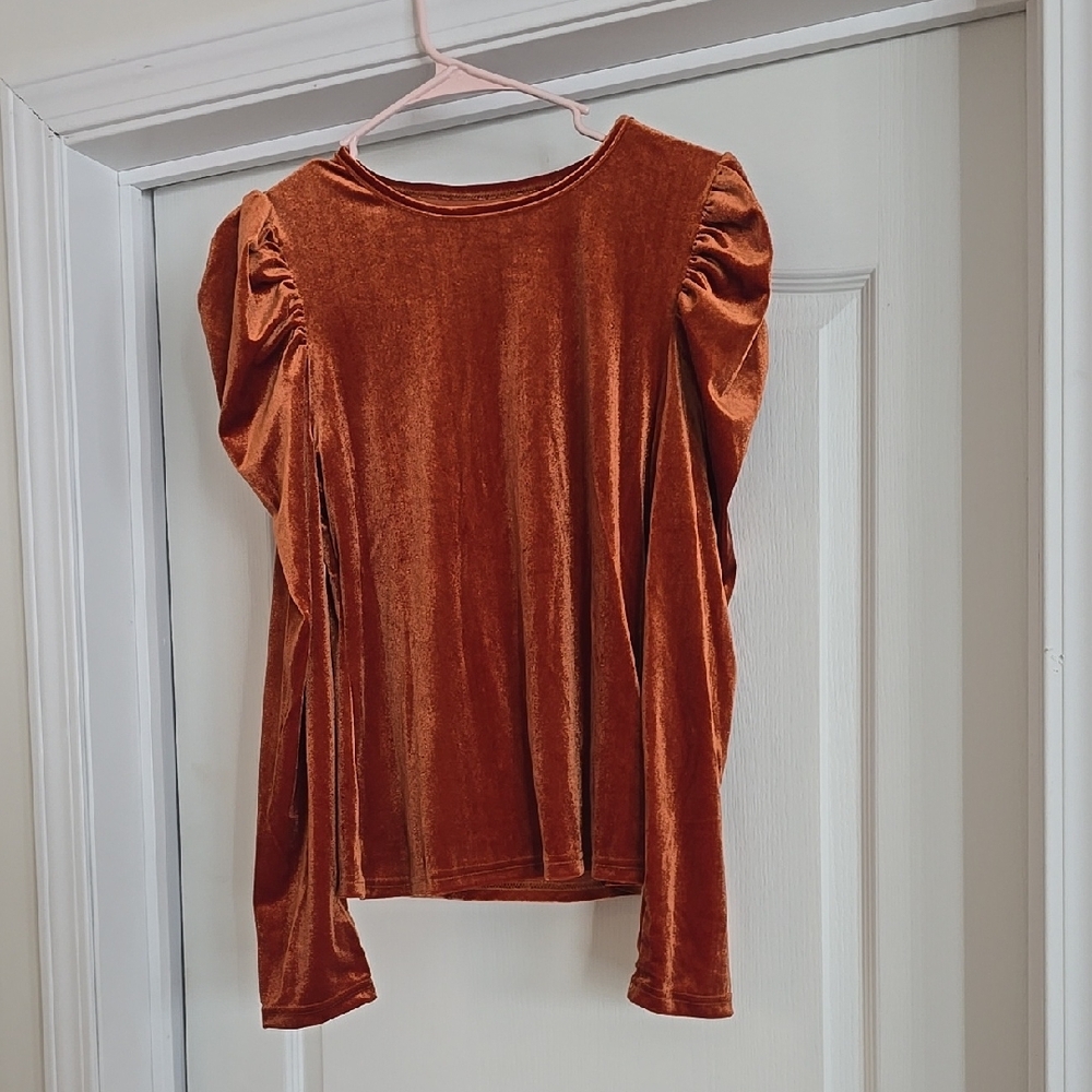 Velvet Long Sleeve Top in Rust